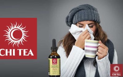 Green Tea For The Flu is Nothing To Sneeze At